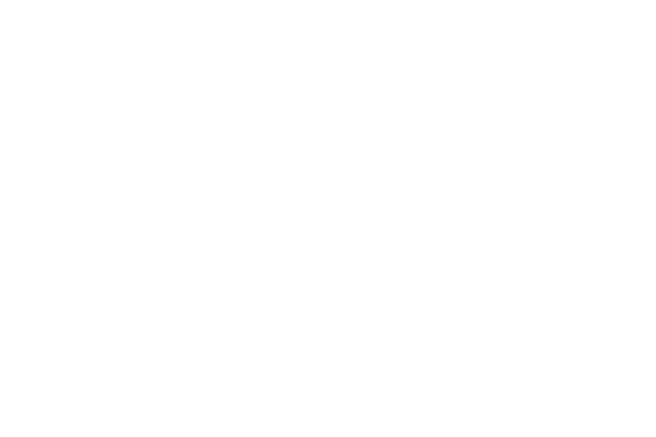 Breitling Logo in White