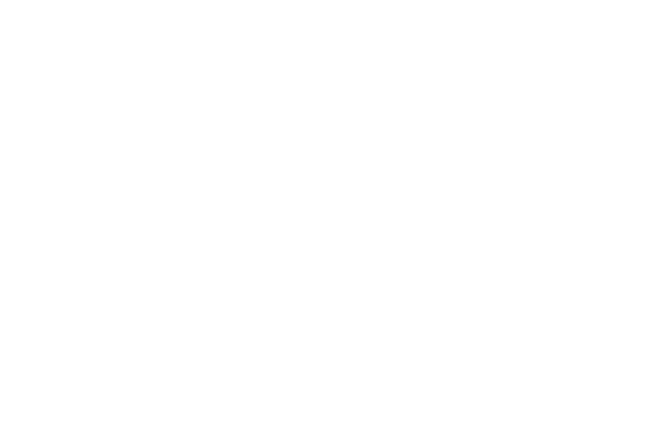 bremont-logo-white