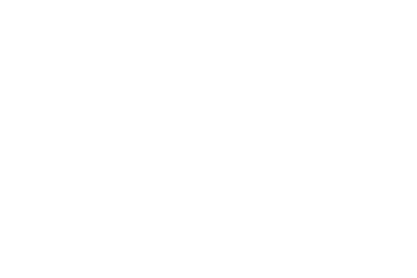 Patek Phillipe Logo in White