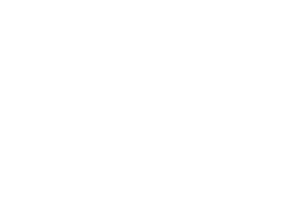 tudor-logo-white